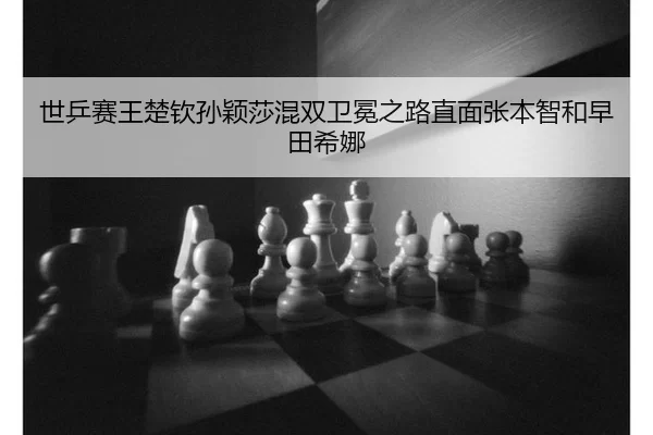 shi-ping-sai-wang-chu-qin-sun-ying-sha-hun-shuang-wei-mian-zhi-lu-zhi-mian-zhang-ben-zhi-he-zao-tian-xi-na-2-798.jpg
