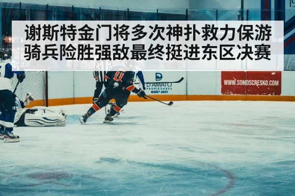 ice hockey match action