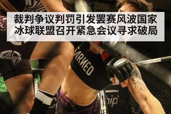裁判争议判罚引发罢赛风波国家冰球联盟召开紧急会议寻求破局